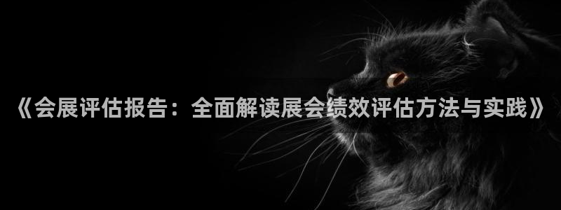 果博公司开户：《会展评估报告：全面解读展会绩效评估方法与实践》