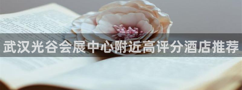 果博app官网下载：武汉光谷会展中心附近高评分酒店推荐