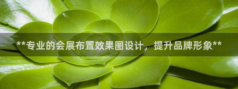 果博公司会员怎么开户：**专业的会展布置效果图设计，提升品牌形象**