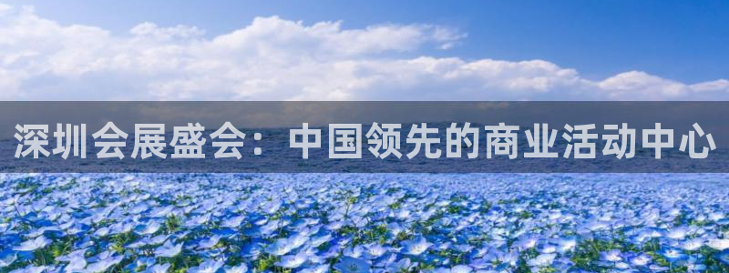 果博手机下载网址：深圳会展盛会：中国领先的商业活动中心