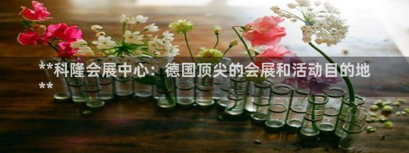 果博公司会员注册账号开户：**科隆会展中心：德国顶尖的会展和活动目的地
**