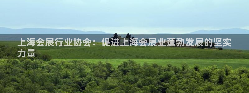 果博注册充值怎么充：上海会展行业协会：促