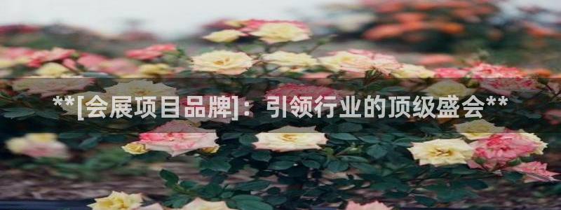 果博账号注册：**[会展项目品牌]：引领行业的顶级盛会**