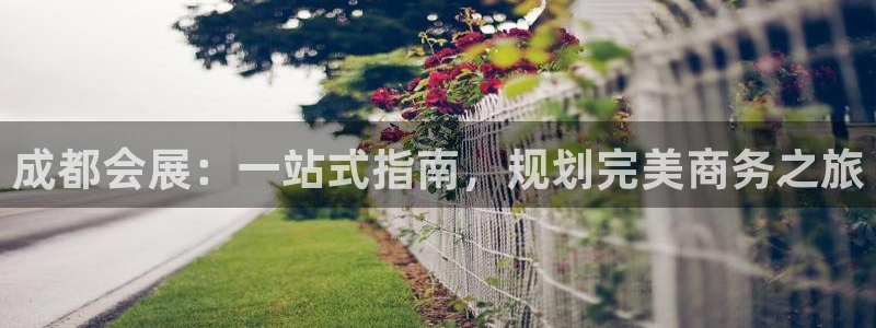 下载果博博东方：成都会展：一站式指南，规划完美商务之旅