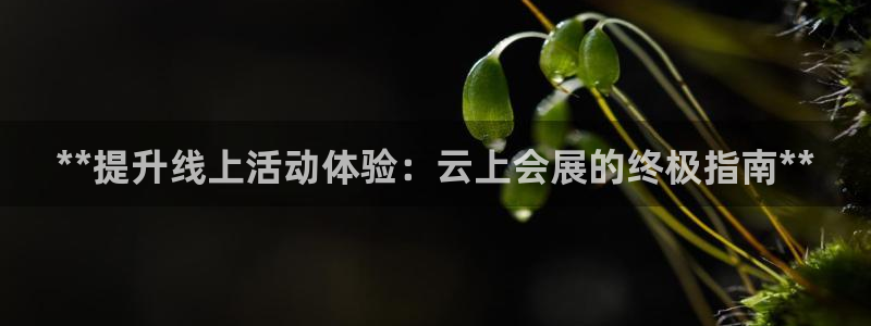 果博公司怎么开户：**提升线上活动体验：云上会展的终极指南**