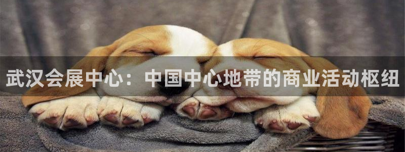 果博平台真实吗安全吗可信吗：武汉会展中心：中国中心地带的商业活动枢纽
