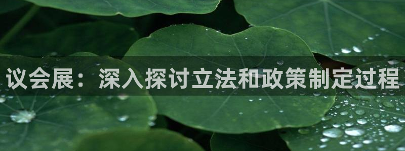 果博官方网：议会展：深入探讨立法和政策制定过程