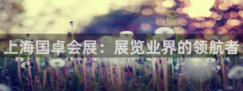 果博注册：上海国卓会展：展览业界的领航者