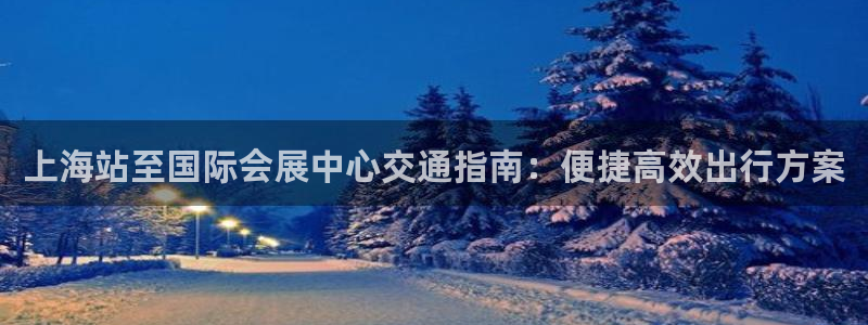 果博注册充值：上海站至国际会展中心交通指南：便捷高效出行方案