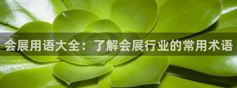 果博代理电话多少号码：会展用语大全：了解会展行业的常用术语