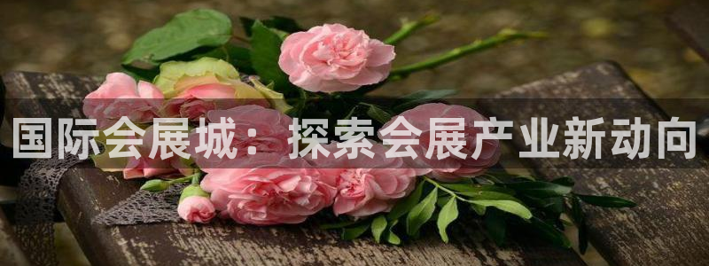 果博官网客服电话号码：国际会展城：探索会展产业新动向