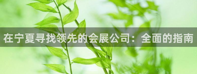 果博公司会员注册：在宁夏寻找领先的会展公司：全面的指南