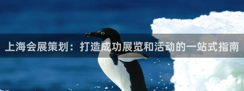 果博公司客服微信怎么加：上海会展策划：打造成功展览和活动的一站式指南