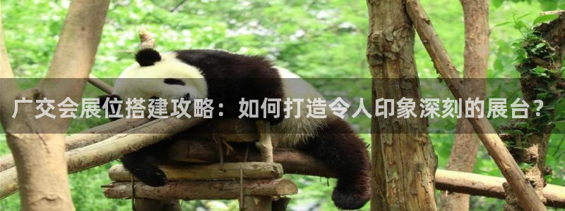 果搏东方客服：广交会展位搭建攻略：如何打造令人印象深刻的展台？