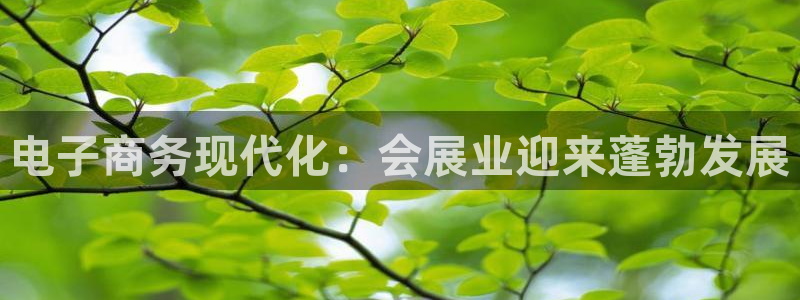 果博平台客服电话：电子商务现代化：会展业迎来蓬勃发展