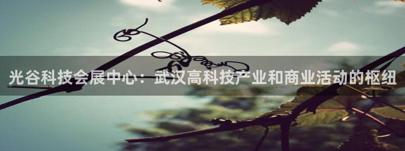 果博官网客服：光谷科技会展中心：武汉高科技产业和商业活动的枢纽