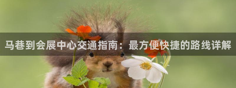 果博公司注册：马巷到会展中心交通指南：最方便快捷的路线详解