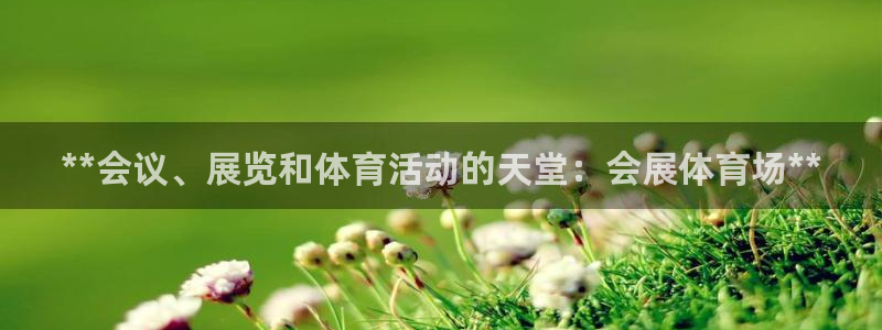 果博gbe168：**会议、展览和体育活动的天堂：会展体育场**