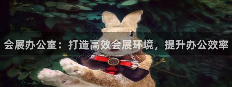 果搏代理：会展办公室：打造高效会展环境，提升办公效率