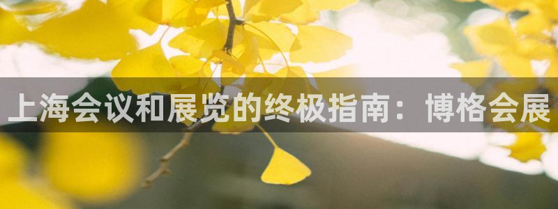 果博真人：上海会议和展览的终极指南：博格会展
