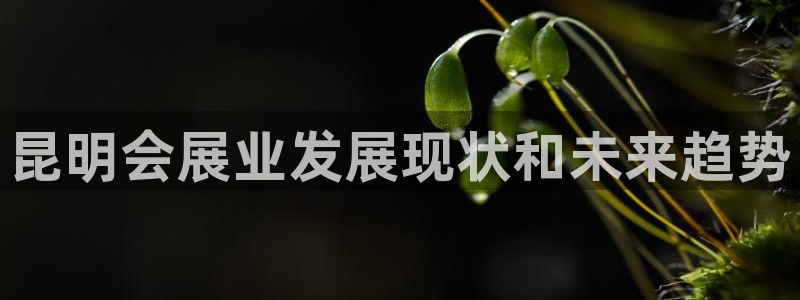 苹果电脑怎么下载博弈大师等软件