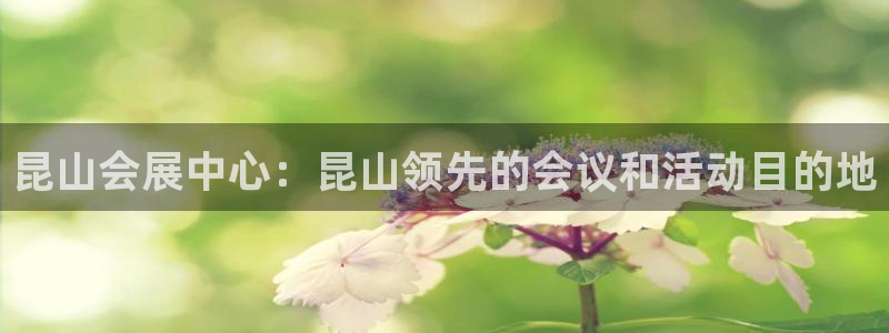 果博平台苹果电脑怎么下载：昆山会展中心：昆山领先的会议和活动目的地