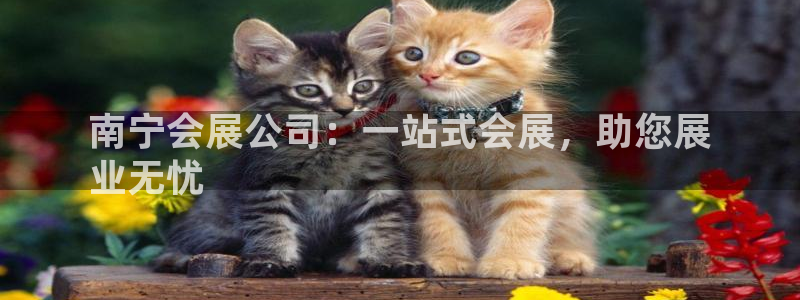 果博平台真实吗知乎推荐：南宁会展公司：一站式会展，助您展
业无忧