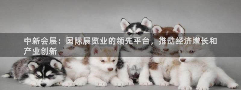 果博平台真实吗安全吗可靠吗：中新会展：国际展览业的领先平台，推动经济增长和
产业创新