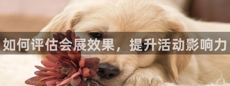 果博代理电话多少：如何评估会展效果，提升活动影响力