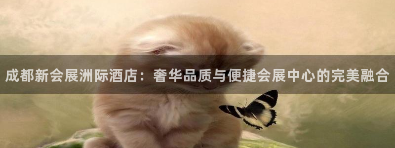 果博公司在线客服：成都新会展洲际酒店：奢华品质与便捷会展中心的完美融合