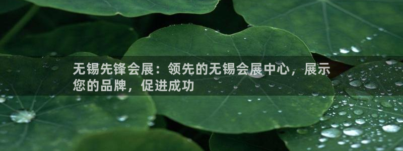 果博平台真实吗：无锡先锋会展：领先的无锡会展中心，展示
您的品牌，促进成功