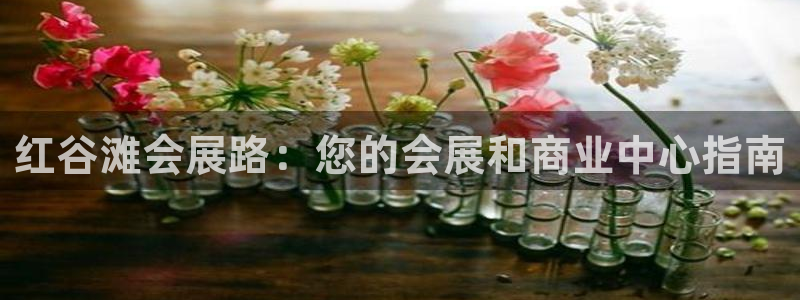 果博客服电话：红谷滩会展路：您的会展和商业中心指南