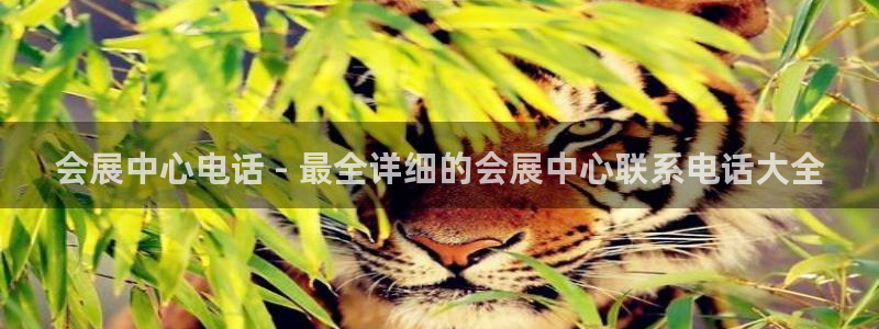 果博公司客服：会展中心电话 - 最全详细的会展中心联系电话大全