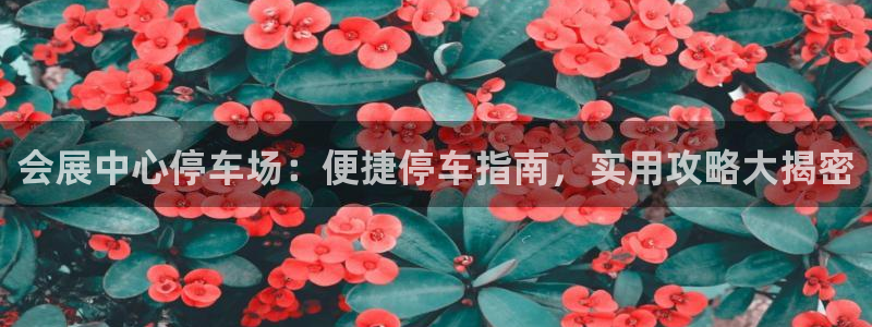 果博代理电话多少号码：会展中心停车场：便捷停车指南，实用攻略大揭密