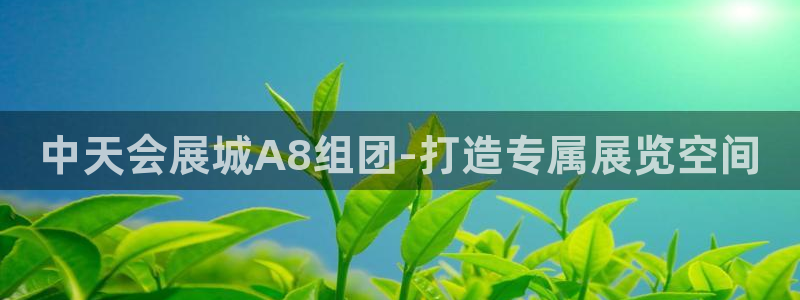 果博官方热线：中天会展城A8组团-打造专属展览空间