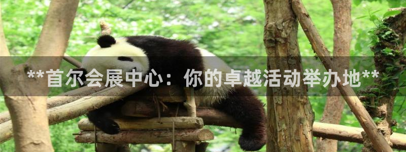 果博注册会员维wckk389：**首尔会