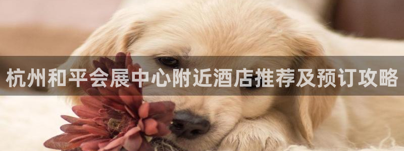 果博平台真实吗安全吗是真的吗