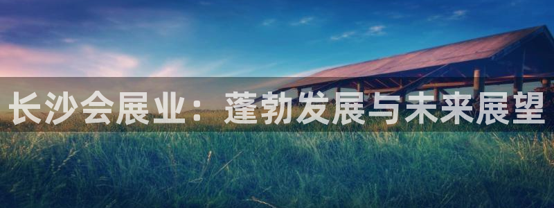 果博注册充值多少钱：长沙会展业：蓬勃发展与未来展望
