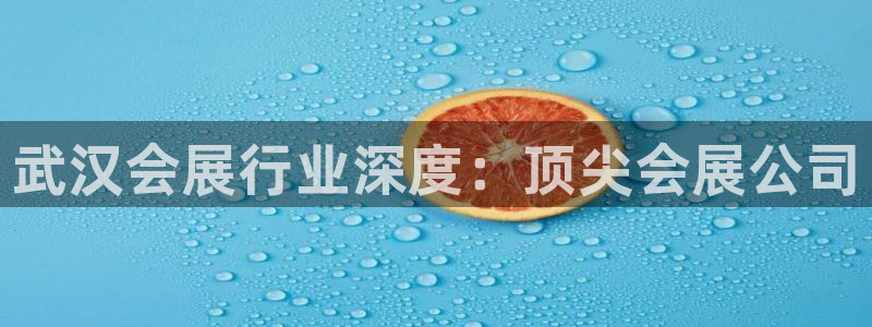 果博平台客服：武汉会展行业深度：顶尖会展公司