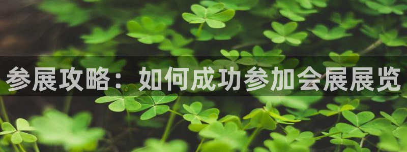 果博公司客服微信怎么加：参展攻略：如何成功参加会展展览