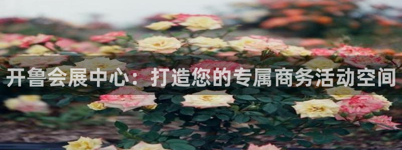 果博东官方网站怎么下载：开鲁会展中心：打