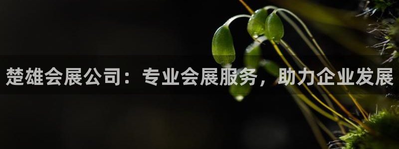 果博手机下载网址：楚雄会展公司：专业会展服务，助力