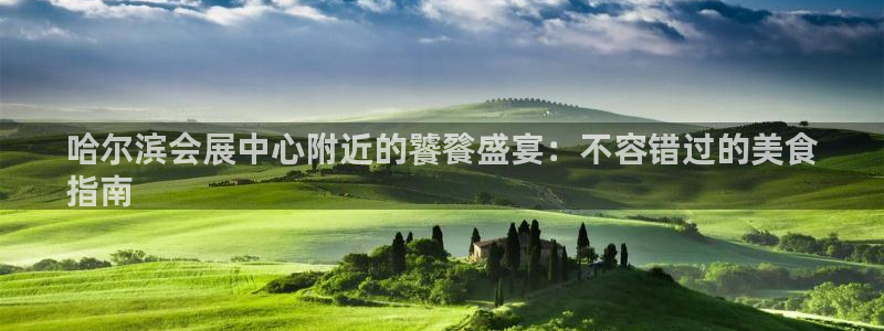 果博公司开户注册：哈尔滨会展中心附近的饕餮盛宴：不容错过的美食
指南