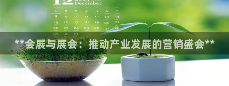 果博平台真实吗安全吗可信吗可靠吗：**会展与展会：推动产业发展的营销盛会**