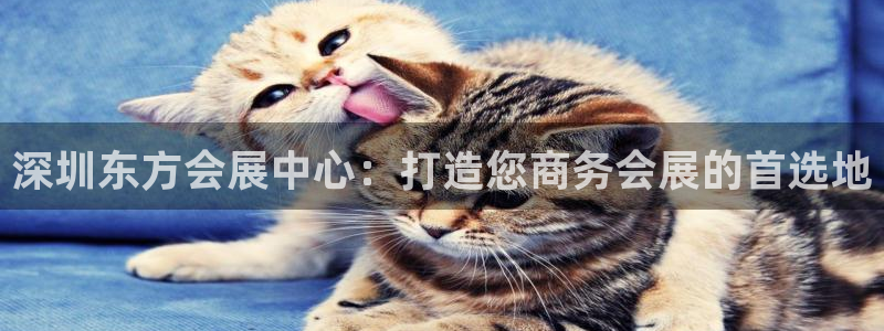 果博平台客服电话：深圳东方会展中心：打造