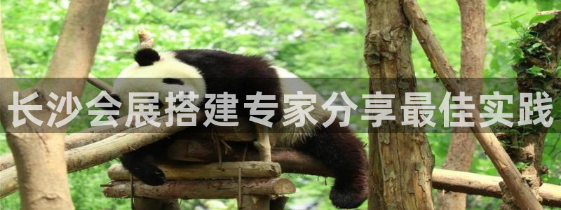 果博公司开户注册：长沙会展搭建专家分享最