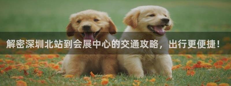 果博注册平台怎么注册的：解密深圳北站到会