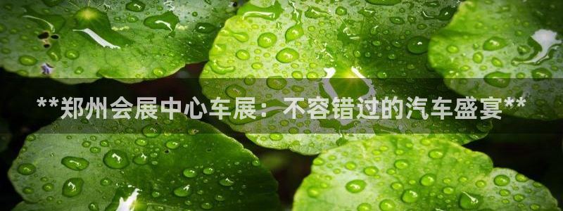 果博公司联系电话：**郑州会展中心车展：
