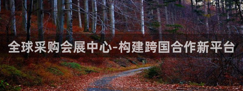 果博注册会员维wckk389：全球采购会